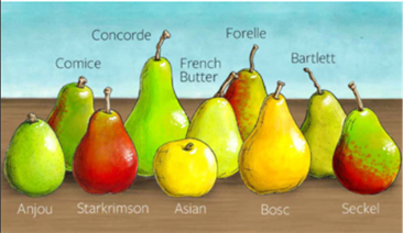 Screenshot 2026-03-16 090131.png